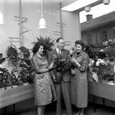 Blomsterhandel på Söder.
31 oktober 1958.