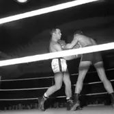 Boxning.
7 november 1958.