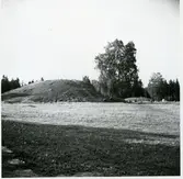 Badelunda sn, Anundshögsområdet, Långby.
Vy över högarna och skeppssättningarna.