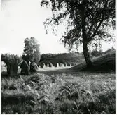 Badelunda sn, Anundshögsområdet, Långby.
Högarna och skeppssättningarna.