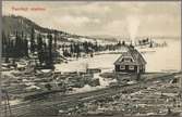 Järnvägsstationen i Tandsjö, från 1921 Tandsjöborg, på södra sidan om Tandsjön.