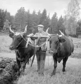 David Lindqvist i Ömon