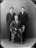 Tre unga män, Östhammar, Uppland