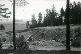 Hubbo sn, Badelundaåsen, Alvesta.
Badelundaåsen 1949.  Alvesta 6:1. Grustäkt.
