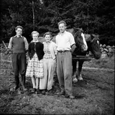 Fotopaus för hästar och folk i arbetet på åkern. Fr v: Lars-Bertil Karlsson, Syllemad; Ingegerd Gustafsson, Ekedal; Evy Karlsson, Gunnes; Bertil Karlsson, Thårstorp. Evy är Bertils svägerska.
