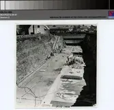 Polhemsdockan, dockan bredded