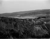 Vy över Snyggs gård och sjön Dran, i Viskans huvudavrinningsområde, samt Drared.