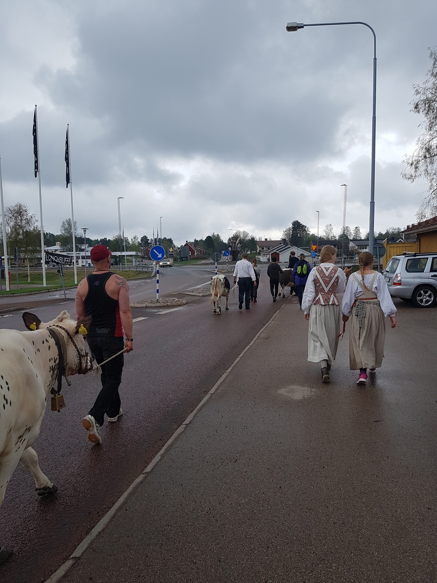 Jennie Tiderman-Österberg, Buffering to Arvselen, Malung, 2018. Here the bushing road runs through Malung’s city centre. Clothed with his back to the camera are Täpp Kerstin Arnesson and Rebecca Antonsson.