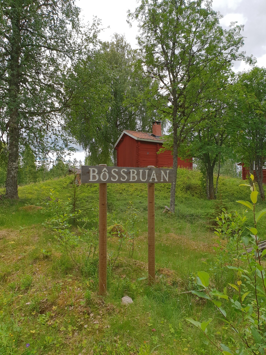 Jennie Tiderman-Österberg, Sign “Bossbuan,” Bastberget’s Fatherboard, MockSkyl, 2018.