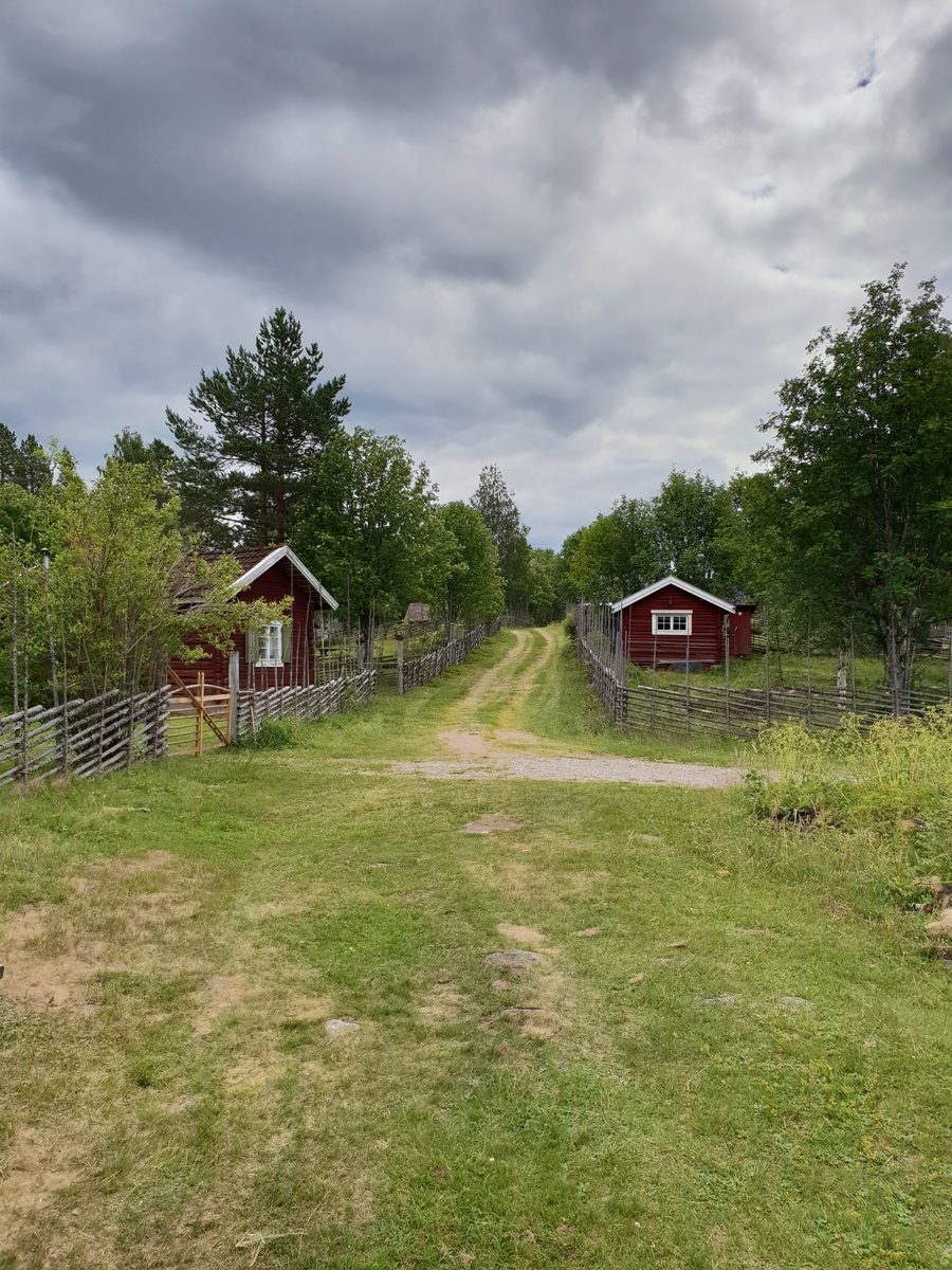 Jennie Tiderman-Österberg, Bastbergets fäbod, Mockfjärd, 2018.