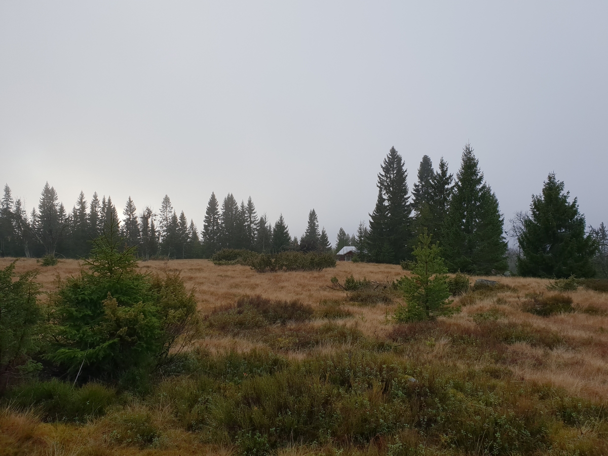 Jennie Tiderman-Österberg, View from Bergsätra Fatherboard Lima, 2018.