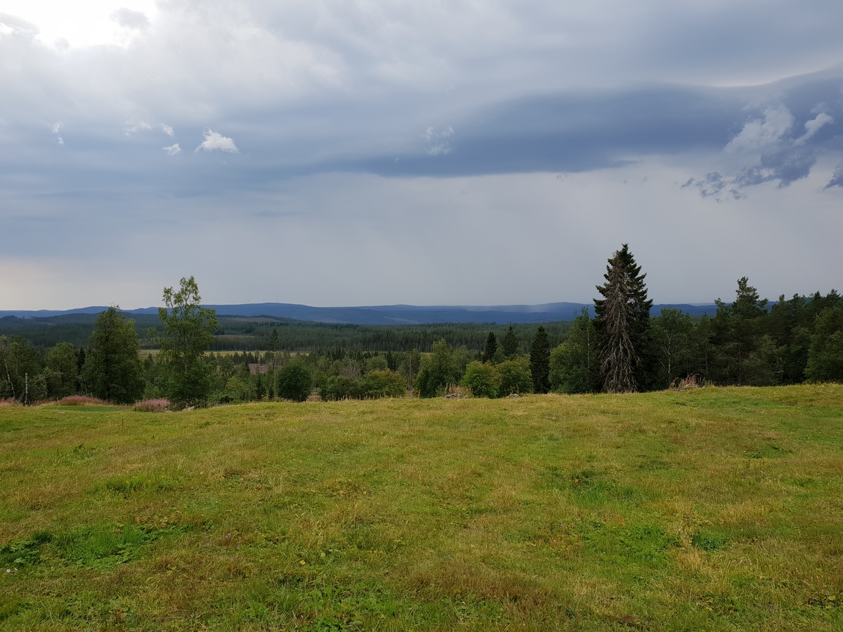 Jennie Tiderman-Österberg, Vy från Brindbergs fäbodar, Älvdalen, 2018. Vid horisonten Sälenfjällen.