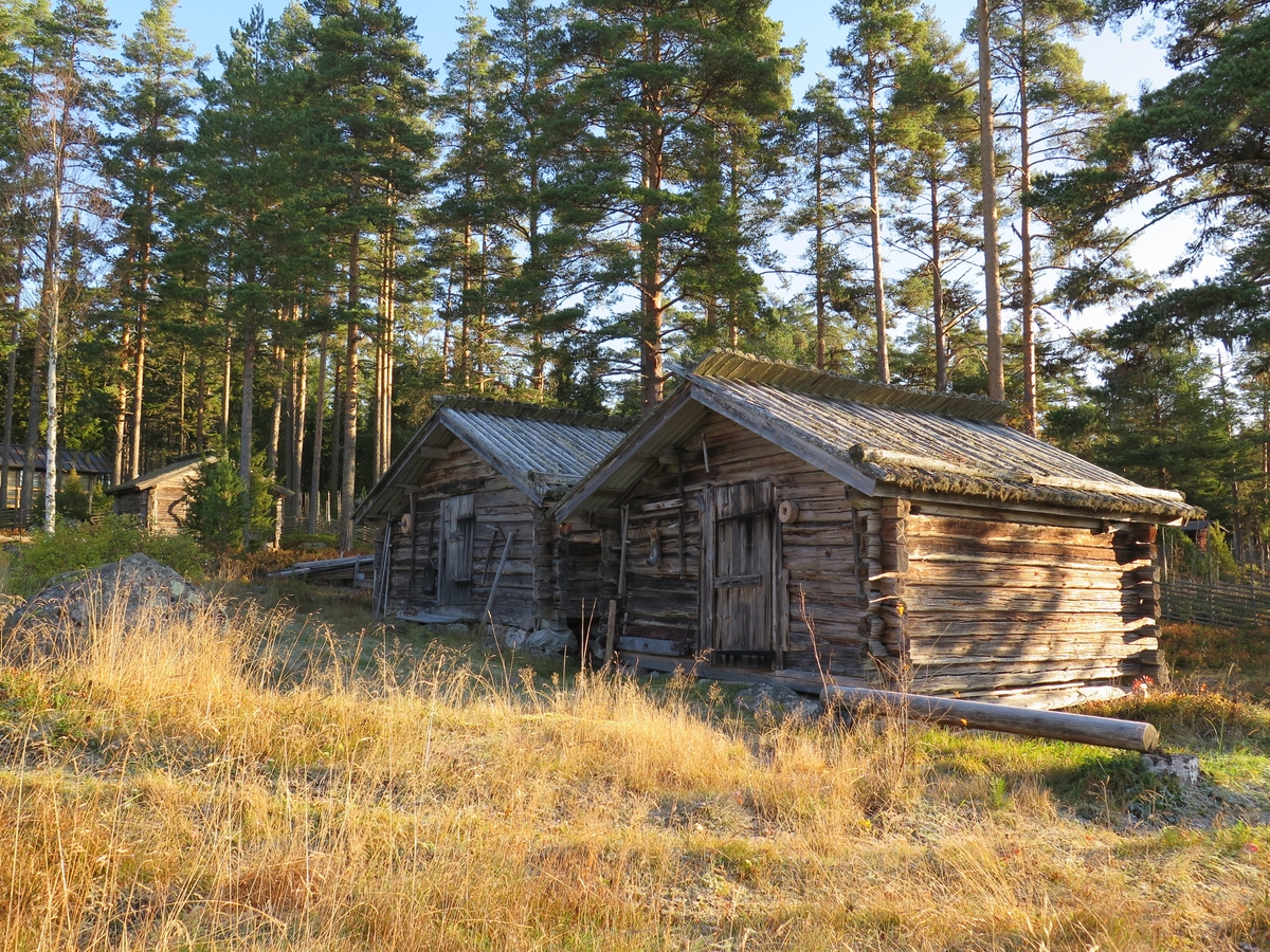 Jennie Tiderman-Österberg, Bodar, Grejsans fäbod, Enviken, 2017.