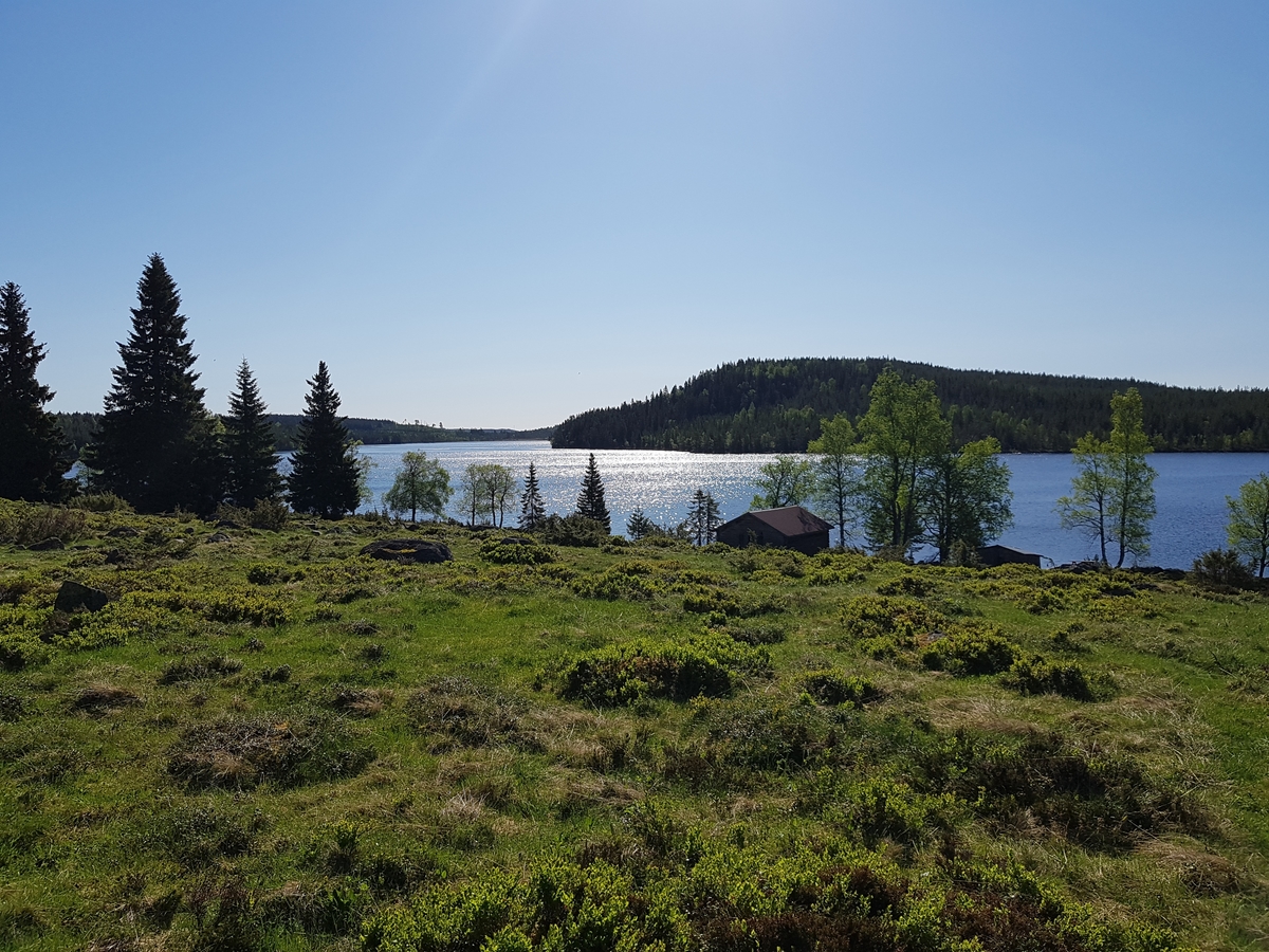 Jennie Tiderman-Österberg, Vy, Nysjöns fäbodar, Svärdsjö, Falun, 2018.