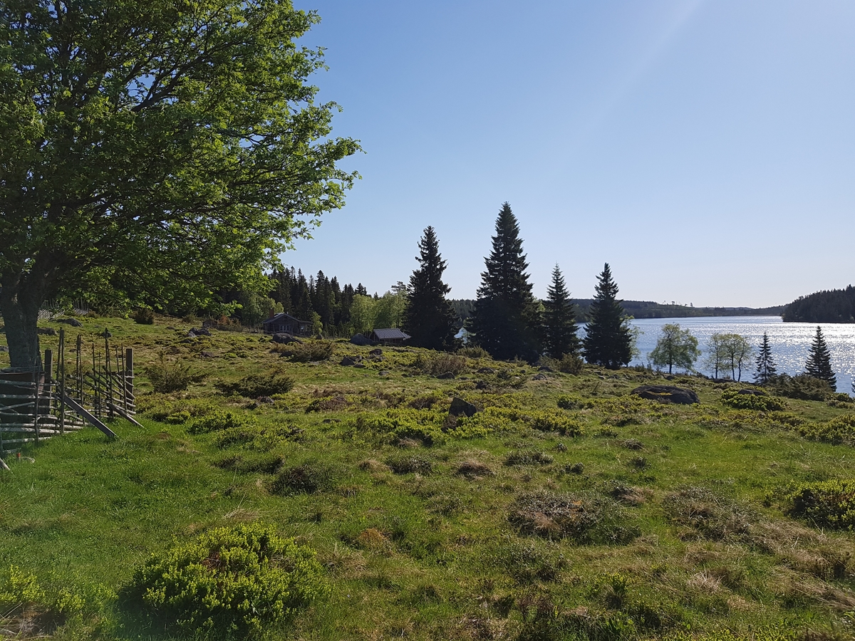 Jennie Tiderman-Österberg, Vy, Nysjöns fäbodar, Svärdsjö, Falun, 2018.