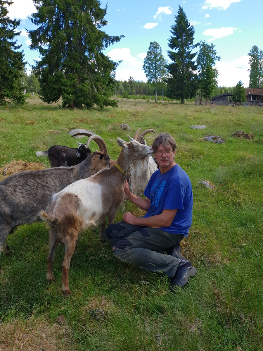 Jennie Tiderman-Österberg, Goth Bertil Johansson with Goats. The Priest Boders, Jusvik, 2018.