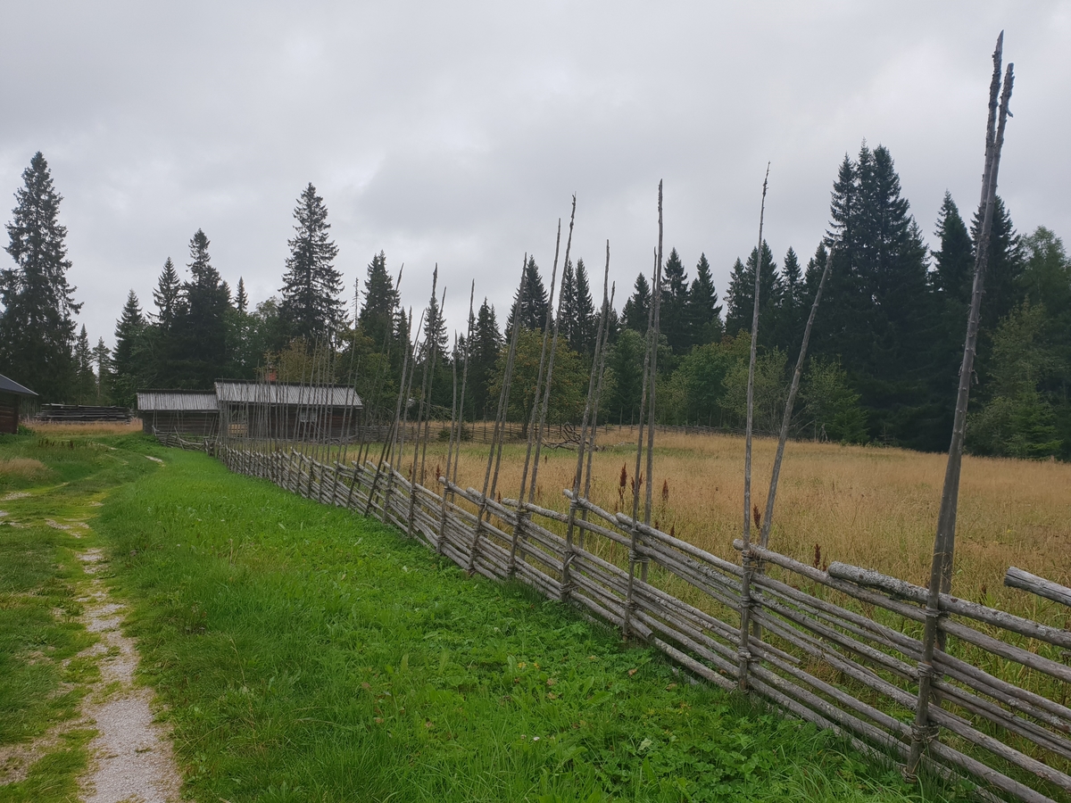 Jennie Tiderman-Österberg, View, Tailor-Djurberga, Orsa, 2018.