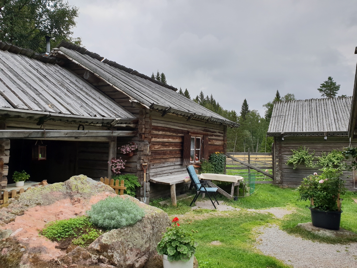 Jennie Tiderman-Österberg, Fäbodmiljö, blommor, vallstuga, "kaffestuga", Skräddar-Djurberga, Orsa, 2018.