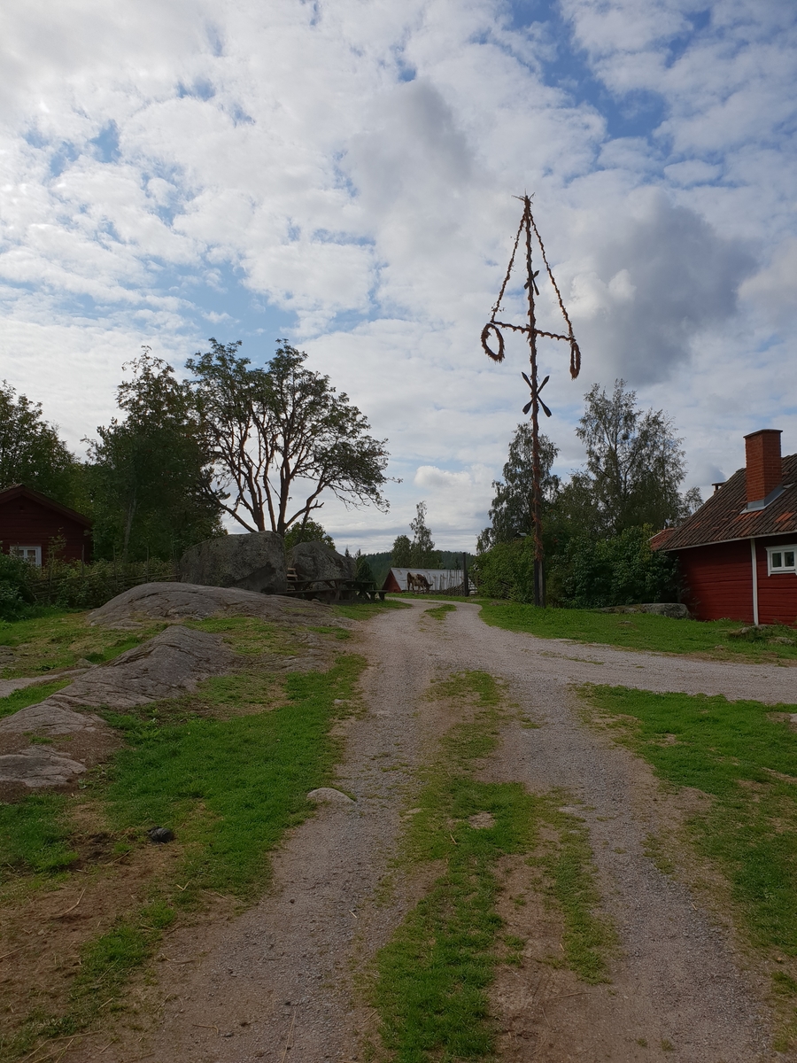 Jennie Tiderman-Österberg, Corn, West Tjärtslindan, Gagnef, 2018.