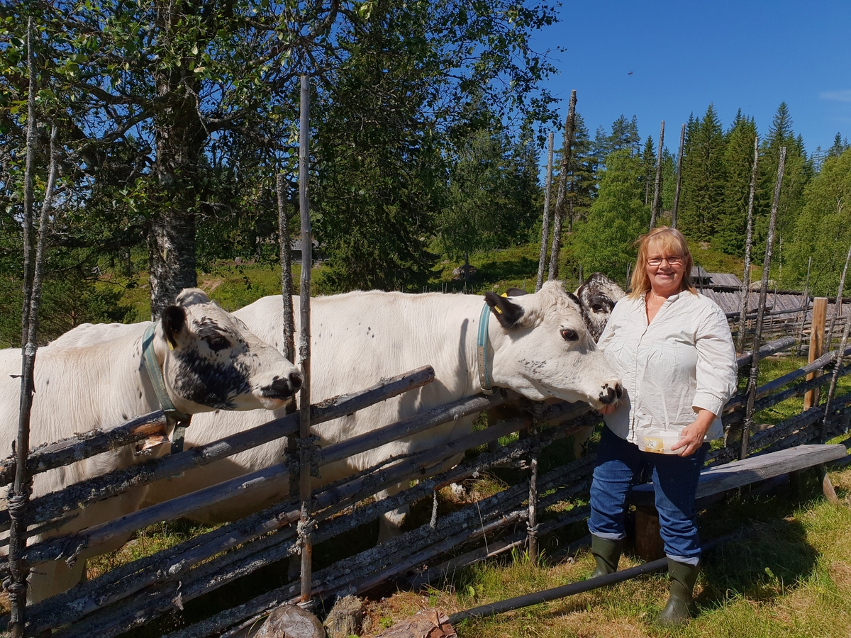 Jennie Tiderman-Österberg, Anna K Kjellin with Mountain Cows, The Archdiocese, Ore, 2018.