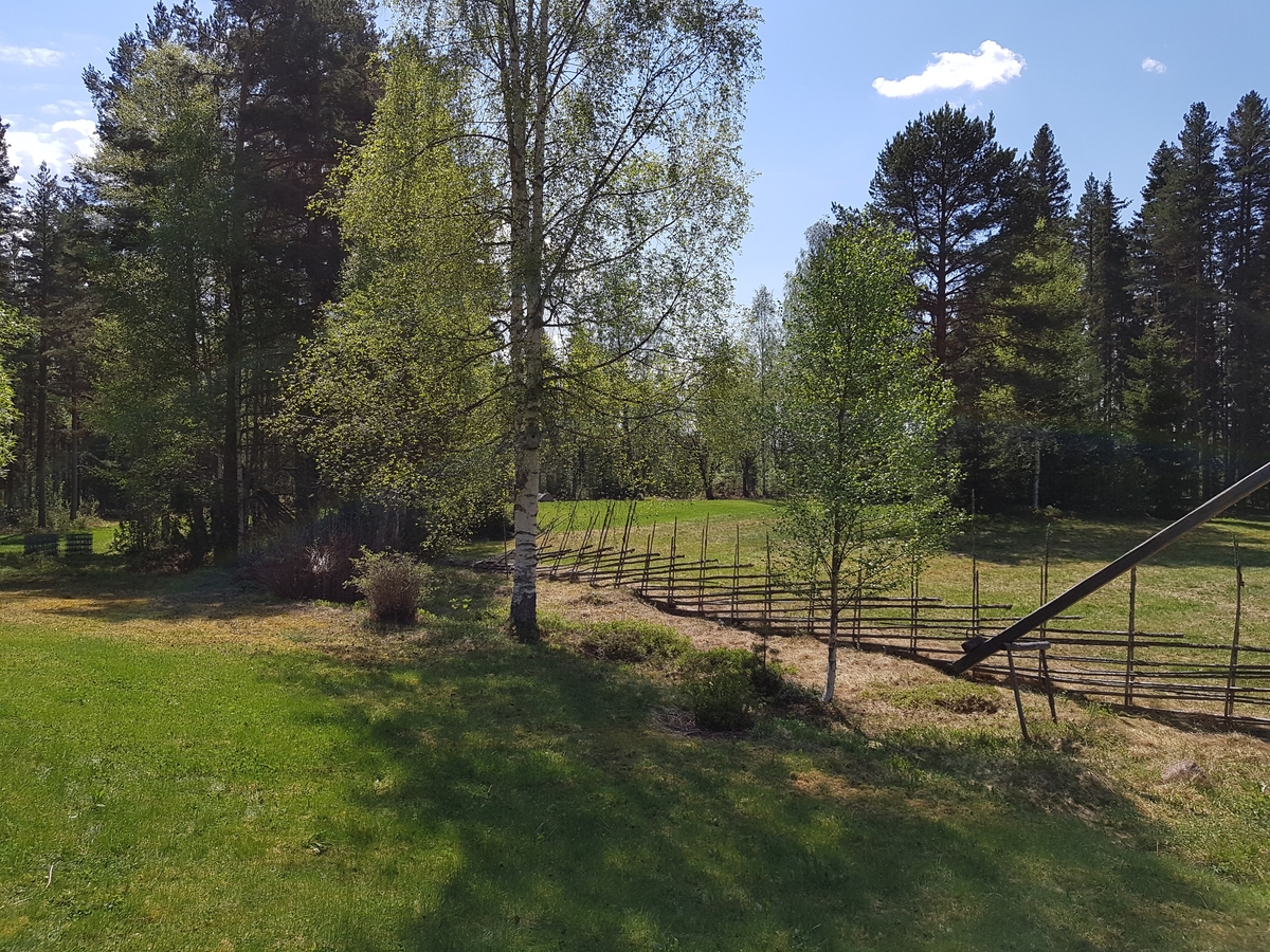 Jennie Tiderman-Österberg, Landskap, Ekfännsbergets fäbodar, Floda, 2018.
