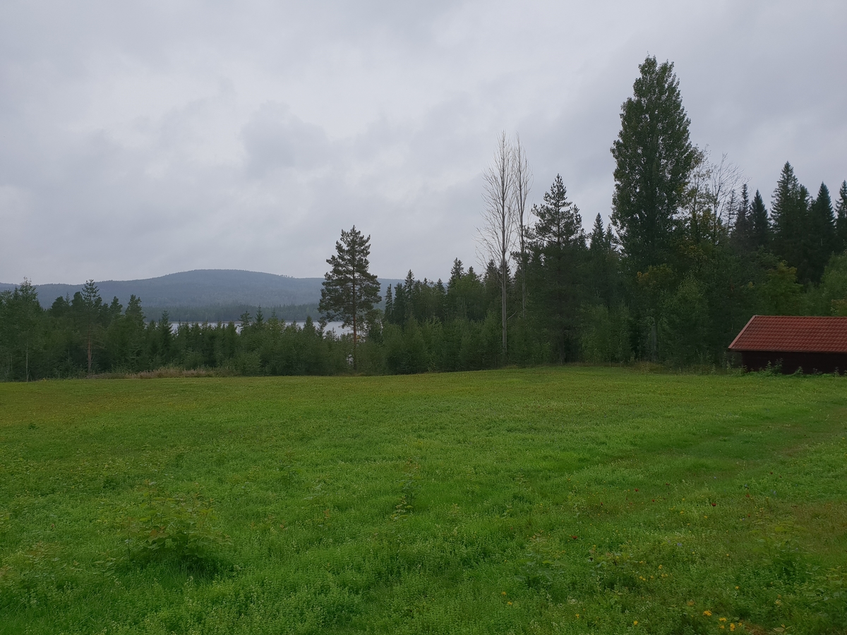 Jennie Tiderman-Österberg, Fäbodlandskap, Jutbodarna, Grangärde, Ludvika, 2018.