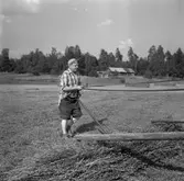 Diverse bilder, 1958.
Skördearbete.