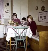 I köket på Vommedal Östergård 2:90 