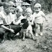 Fyra barn som klappar en hund.