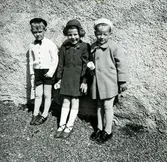 Vid källarväggen till det gamla huset, Vommedal Östergård 2:90 