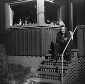 Hallen, nuv. Hallav. 7. Sommarstuga som tillhörde Gustav och Märta Jinfäldt. På trappan sitter Gustav f. 10/4 1910, son till Johan och Augusta Karlsson, Hallen d. 1982. 
Stugan revs 1973.