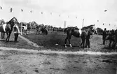 Lantbruksutställningen är ett inslag i Arbogautställningen. Här visas hästar. Flaggorna är hissade.