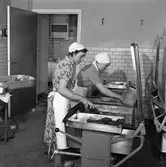 Matlagning i AB Stig Dahlberg Storkök, 1961