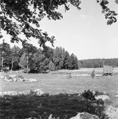 Dansbana i Algots hage, Tyringe