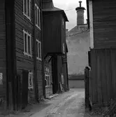 Arboga Kvarn och Maltfabrik, del av exteriör. Den dekorativa skorstenen syns ovanför gaveln. Magasin i förgrunden. Anläggningen är tagen ur bruk.
Det som kom att bli Arboga Kvarn och Maltfabrik anlades 1821 av Jonas Örström. Kvarnrörelsen startade 1915. Vetemjöl av märket Guldsnö producerades här. 
Kvarnrörelsen upphörde 1967 medan maltproduktionen fortsatte till 1972.
Läs om Arboga Kvarn och Maltfabrik:
Hembygdsföreningen Arboga Minnes årsböcker från 1979 och 1999
Reinhold Carlssons bok Arboga objektivt sett