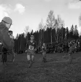 Tiomilaorienteringen.