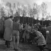 Arboga Orienteringsklubb har vunnit tiomilaorienteringen.