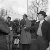 Arboga OK har vunnit tiomilaorienteringen