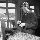 Arboga Tidning, personal och interiör. En man, iklädd skyddsrock, plockar med typer. De ligger sorterade i små lådor framför honom. Vid sidan om mannen finns ett fönster. Det syns att han arbetar någon våning upp i huset.