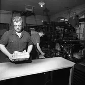 Arboga Tidning, personal och interiör. Tre personer i arbete vid tryckpressen. Männen hanterar hopsatta tidningar.