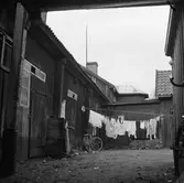 Innergård. Låga hus och plank. Trasiga fönsterrutor. En parkerad cykel. Tvätt hänger på en lina. En pump står intill en låg dörr.