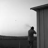 Lerduveskytte i Gyttorp. Skyttar från Arboga tränar.
Man som skjuter mot lerduva.