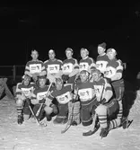 Lions Clubs Bandylag, Flying Lions.
Bakre raden, från vänster: Nils Röhfors, Anders Högfeldt, Olle Wallström, Helge E Carlsson, Lars Lutteman och Sture Melander.
(Alternativa sökord; rinkbandy, hockeybockey)
Främre raden, från vänster: Arne Öhrman, Sten Wahlgren, Valter Allvin, Gunnar Stjernström och Sune Carlsson.