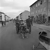 Barnens Dag. En pojke, utklädd till cowboy, åker fyrspann dragen av schäfrar. Två män i uniform går vid sidan av ekipaget. I bakgrunden ses Stenbäckers mjölk-och speceributik.