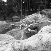 Barnleken. Ett gäng pojkar gräver gropar och gångar. De är i skogskanten.
Inget årtal angivet av fotografen.