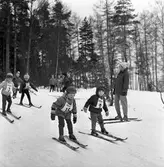 Barnskidskolans avslutning.
Barn, försedda med nummerlappar, åker skidor nerför en backe. De har inga stavar. Några tittar på. En skog ses i bakgrunden.
