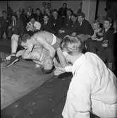 Brottning. Arboga AK mot Sala. Håkan Waern (kallad 