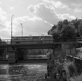 En buss kör över Herrgårdsbron. En flicka cyklar. Två pojkar sitter vid norra brofästet. Under Herrgårdsbron syns Kapellbron.
Arbogaån på sommaren.