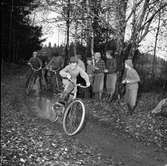 Cykelcross, en ny fluga för ungdomar. Fyra pojkar kommer farande på var sin cykel. Det är svårt att göra omkörning på den smala skogsstigen. Kompisarna står vid sidan och hejar på.