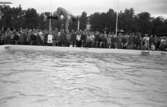 Ekbacksbadet invigs. Publiken samlad vid bassängkanten. En man, i randig dräkt, dyker från trampolinen.